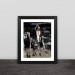 Rocket McGrady classic compartment Bradley solid wood decorative photo frame photo wall table hanging frame decoration gift